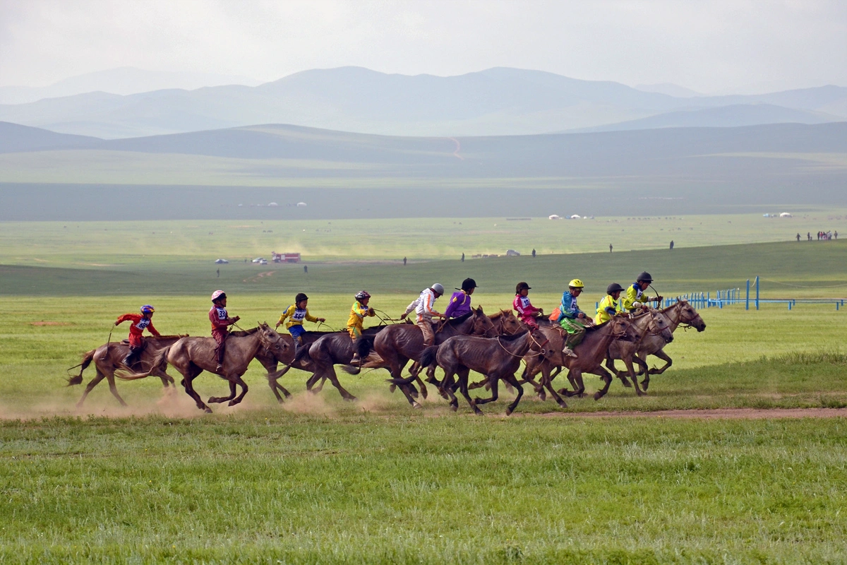 Horse racing during Naadam festival in Mongolia
